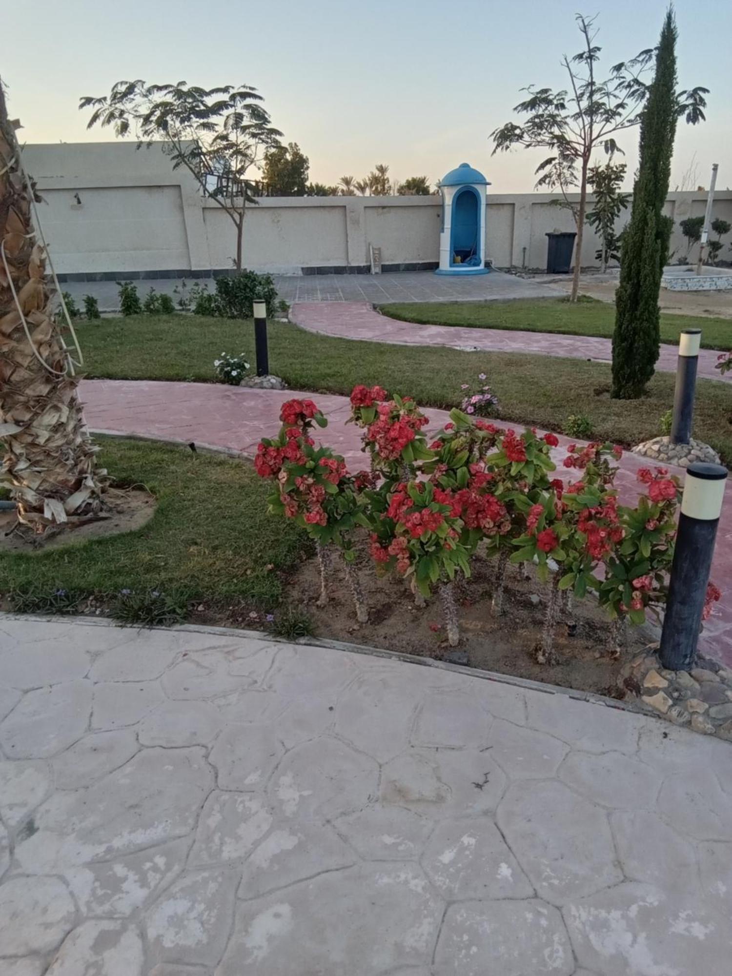 الشقق الفندقية الغردقةفي  Casablanca Beach For Families And Couples Only المظهر الخارجي الصورة